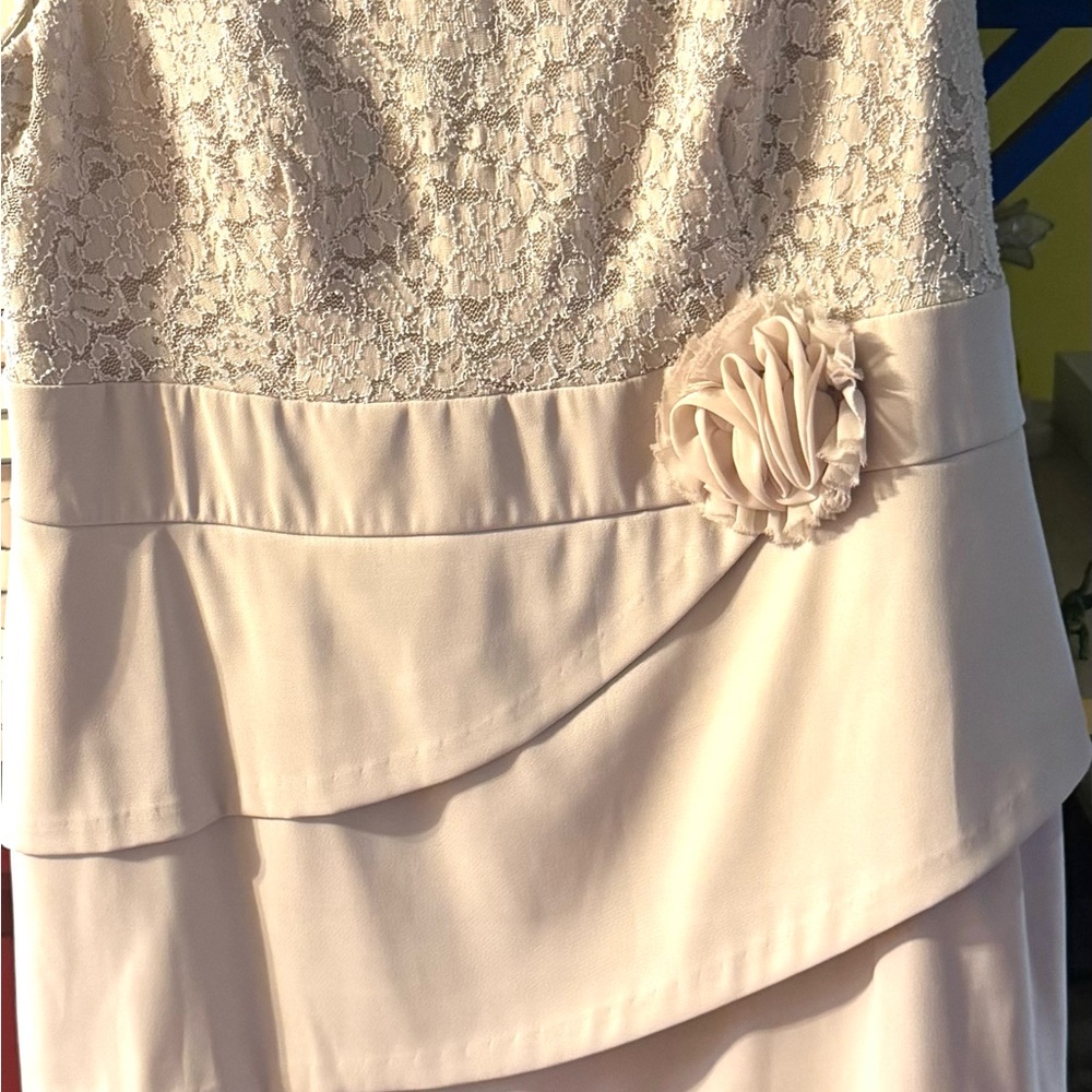 EUC: Collection by Dressbarn: TIMELESS and CLASSIC!! FLATTERING beige lace!!